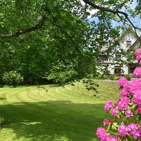 Manor House Bed & Breakfast Norfolk Bagian luar foto