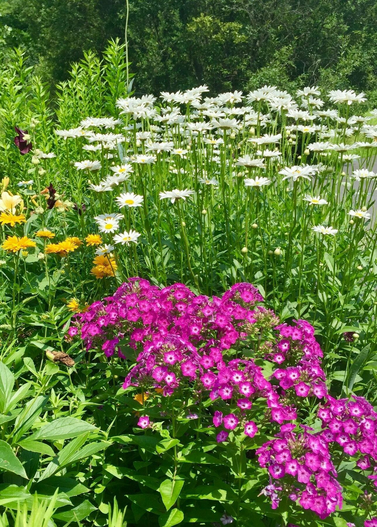 Manor House Bed & Breakfast Norfolk Bagian luar foto